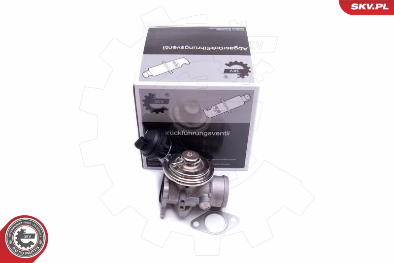 EGR Valve
